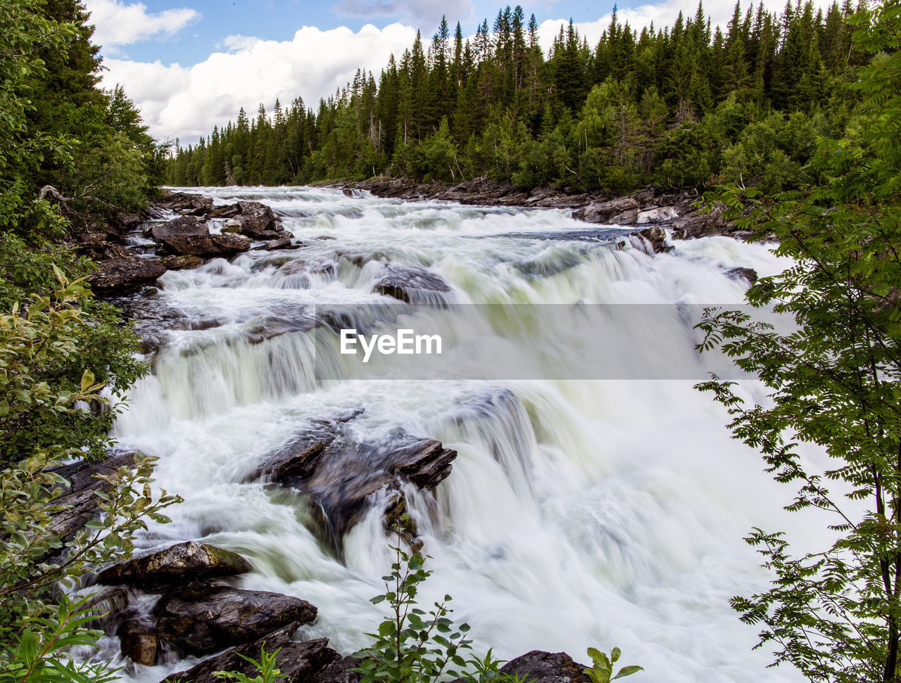 WATERFALL IN FOREST