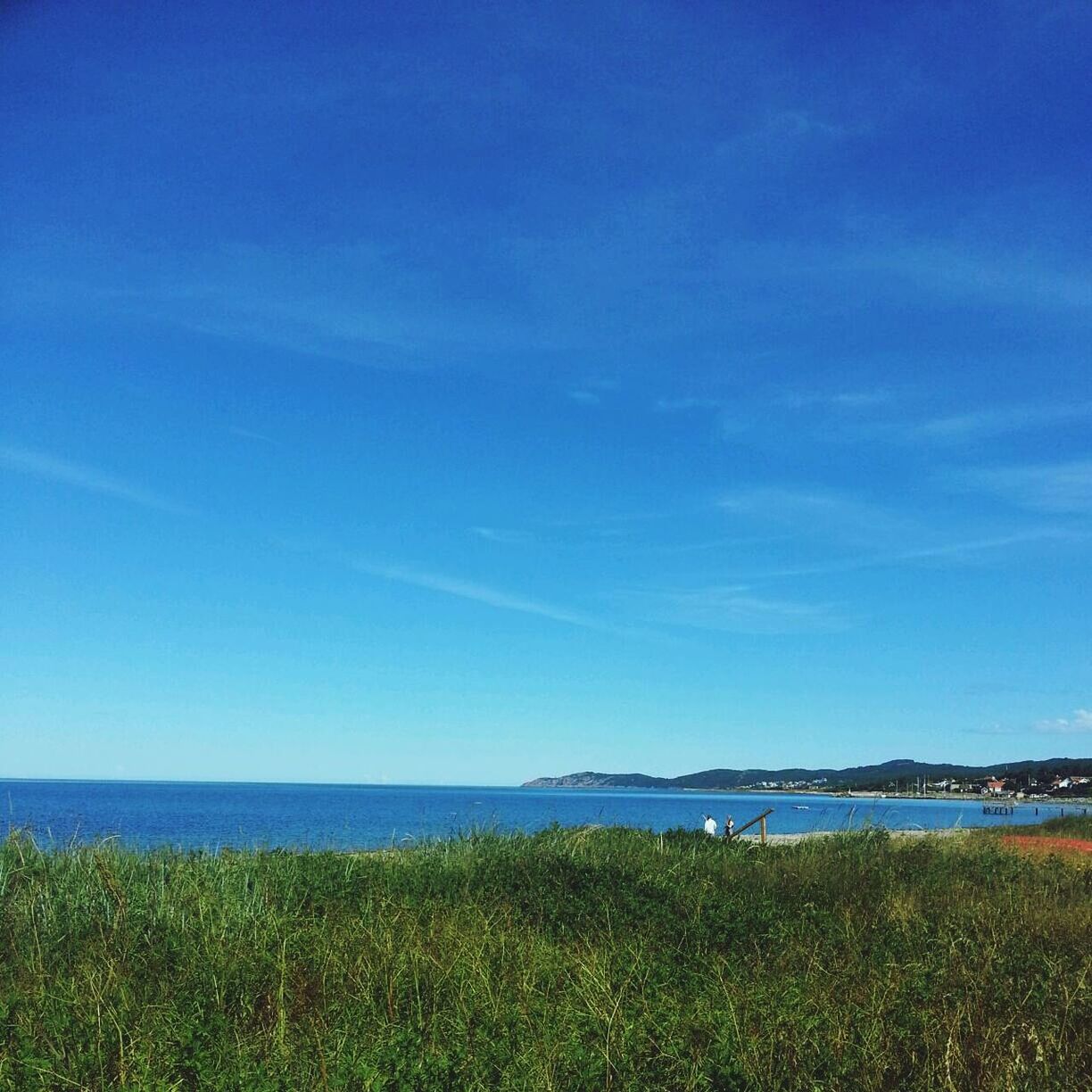 SCENIC VIEW OF LANDSCAPE AGAINST CLEAR SKY