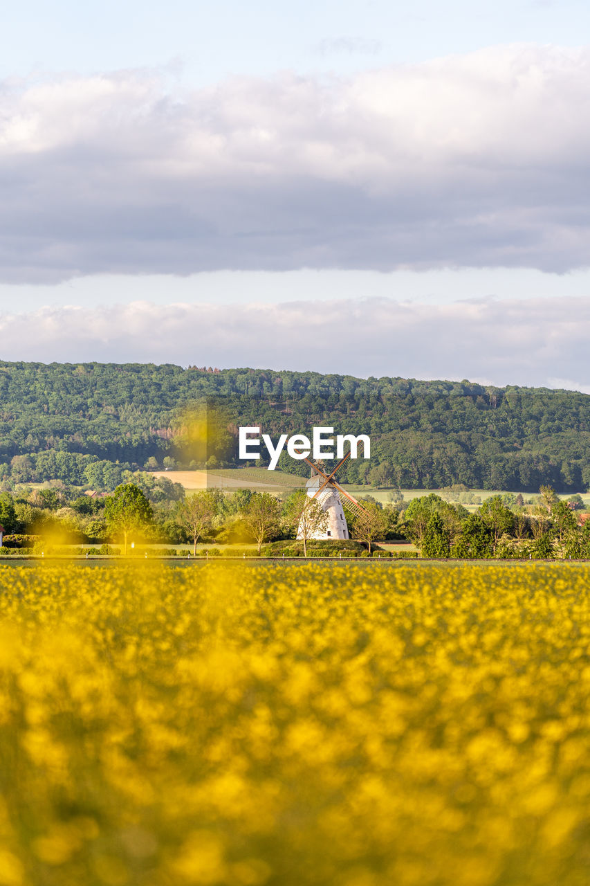 Scenic view of grassy field against cloudy sky