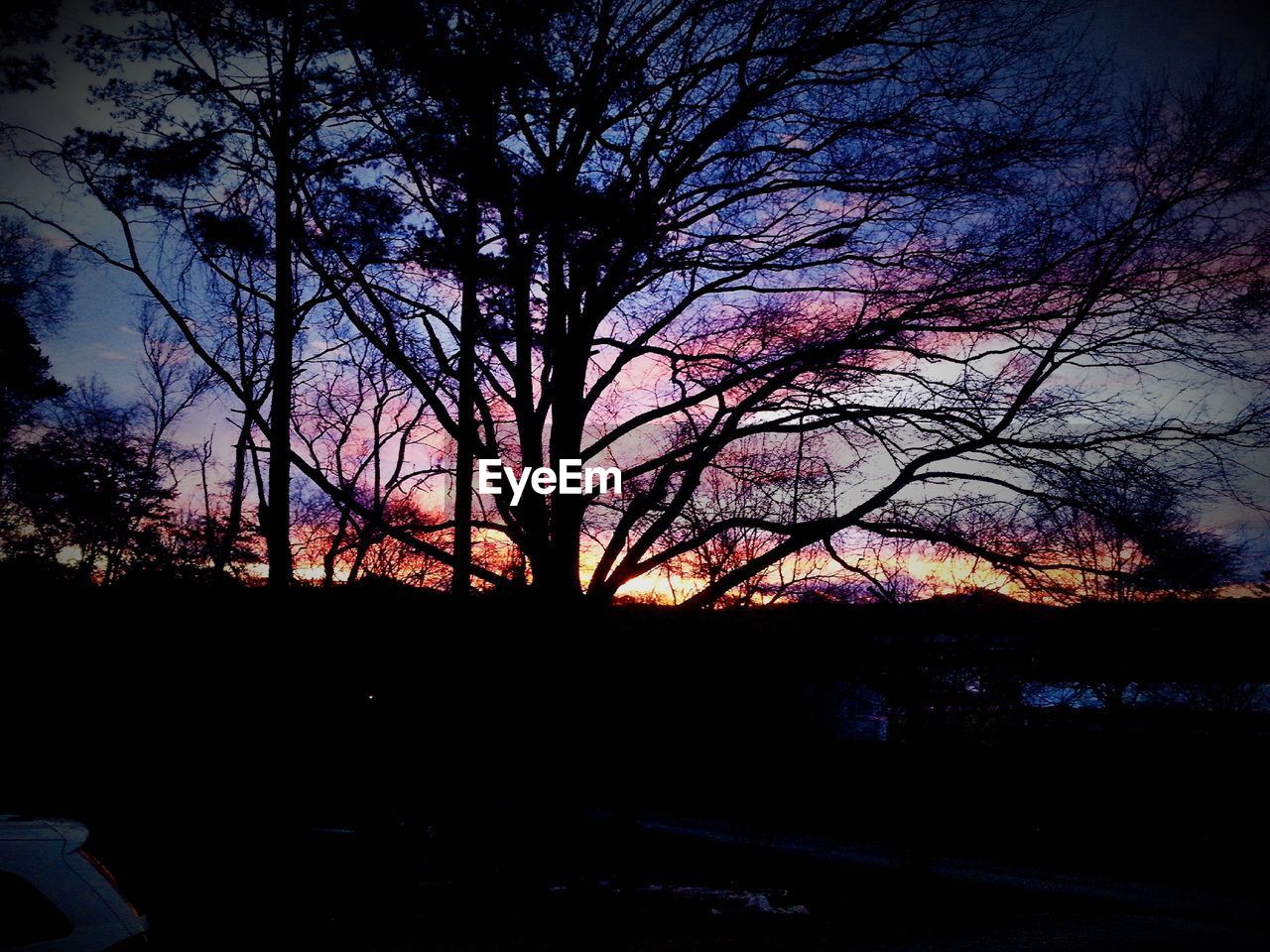 Silhouette of bare trees against sky at sunset