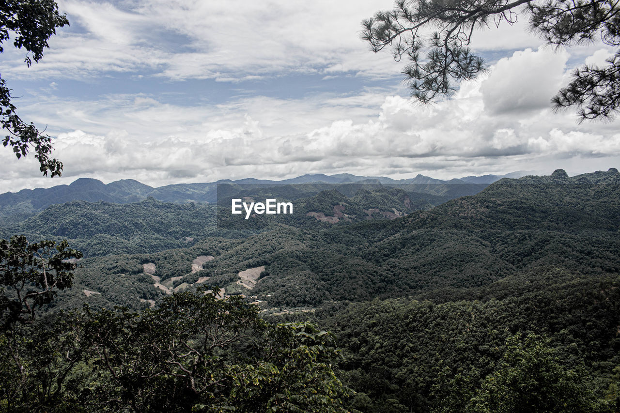 IDYLLIC SHOT OF LANDSCAPE AGAINST SKY