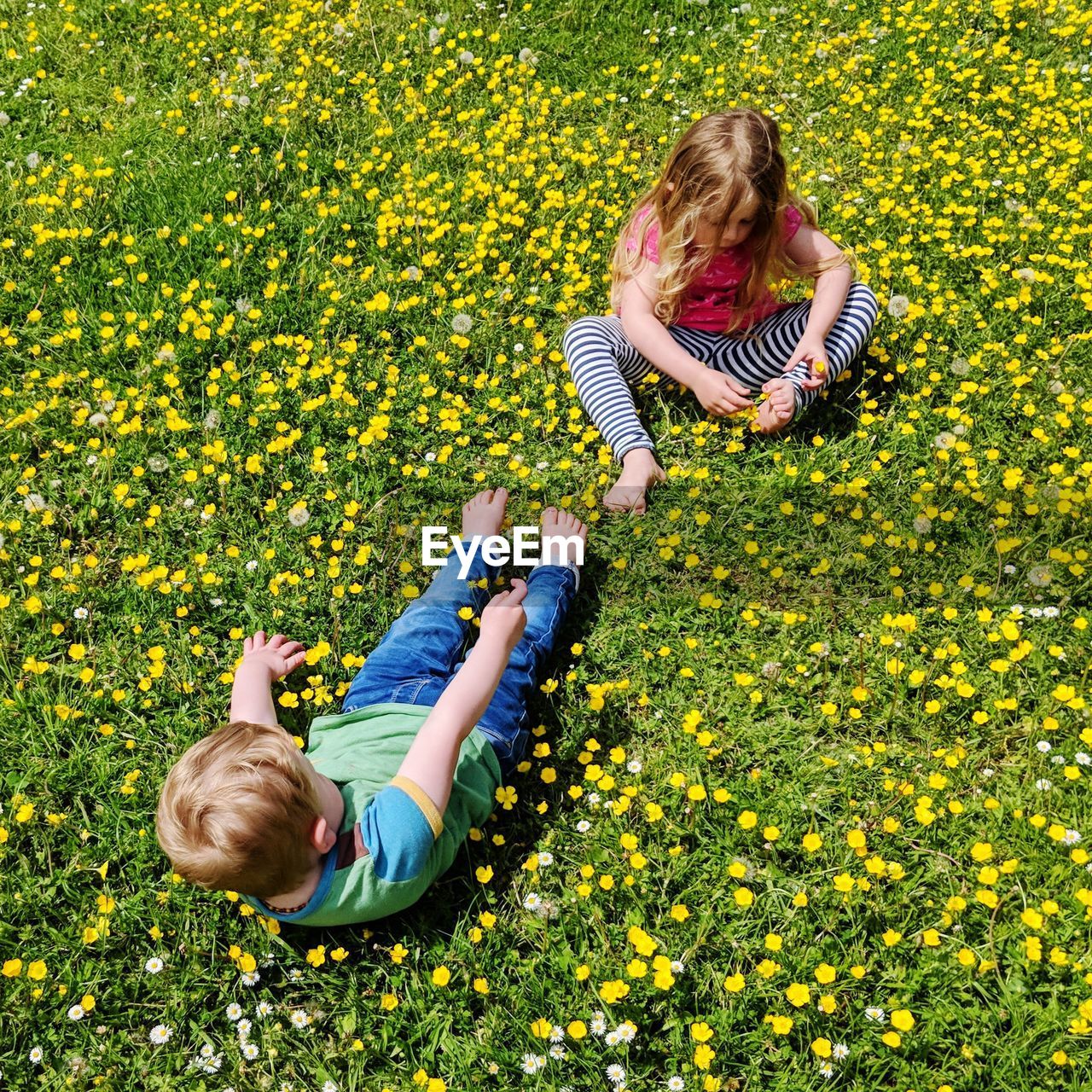 Girl with brother on flowering field during sunny day