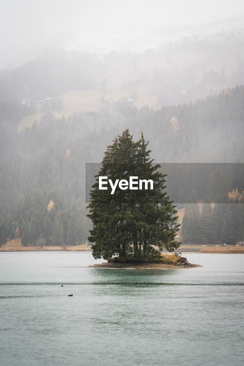 Scenic view of lake in forest during winter