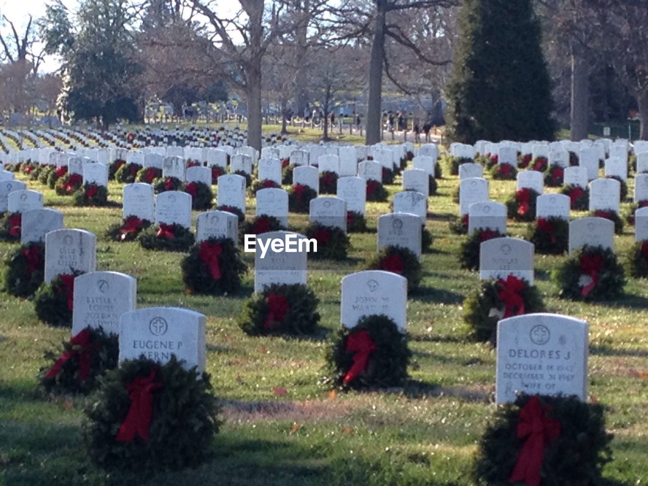 TOMBSTONES IN PARK