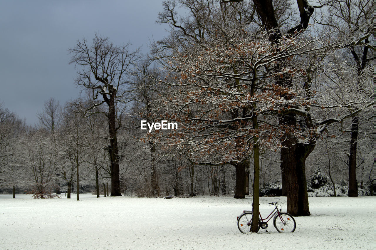 Bicycle in park during winter