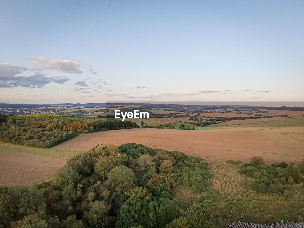 SCENIC VIEW OF TREES ON FIELD AGAINST SKY