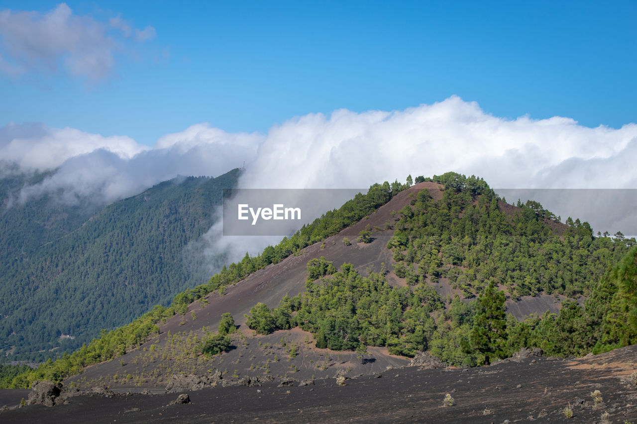 environment, landscape, sky, mountain, cloud, scenics - nature, land, nature, mountain range, beauty in nature, travel, plant, ridge, tree, travel destinations, tourism, fog, plateau, no people, social issues, blue, forest, outdoors, wilderness, non-urban scene, valley, mountain pass, pinaceae, mountain peak, volcano, day, environmental conservation, tranquility, coniferous tree, water, activity, pine tree, road, vacation, trip, panoramic, holiday