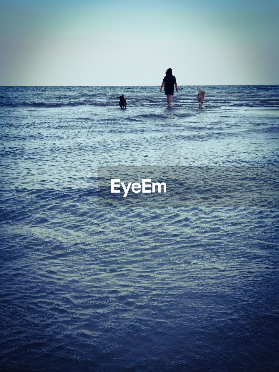 SILHOUETTE PEOPLE STANDING ON BEACH AGAINST CLEAR SKY