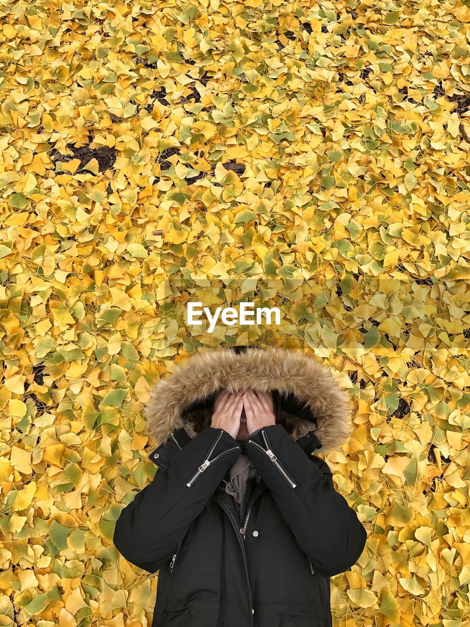 CLOSE-UP OF HUMAN HAND WITH YELLOW LEAVES