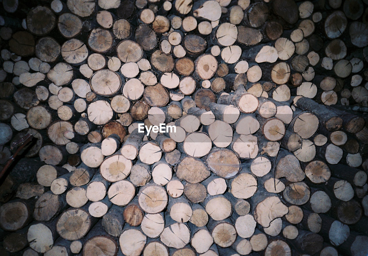 STACK OF LOGS IN FOREST