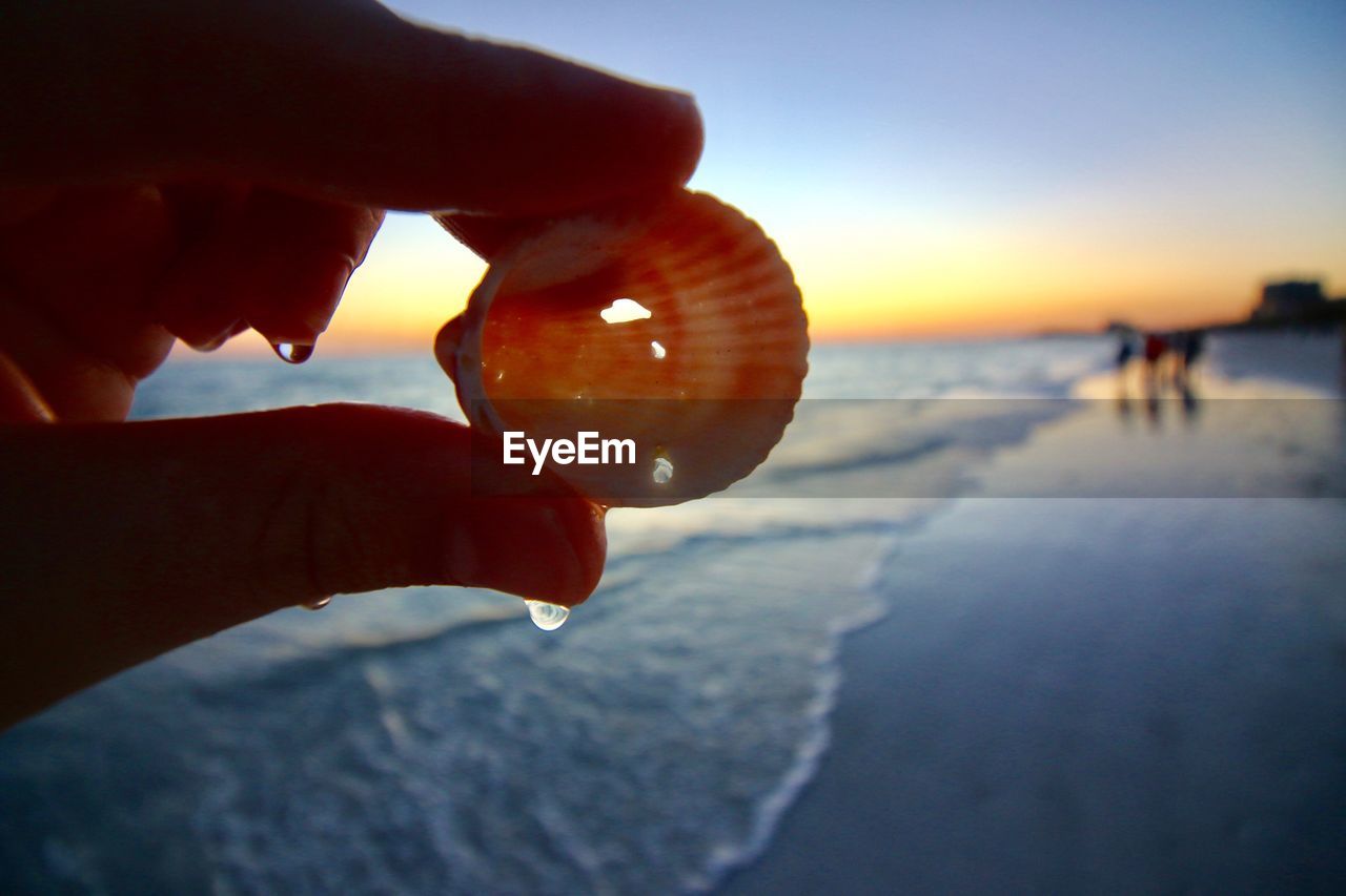 Close-up of hand holding shell against sky at sunset