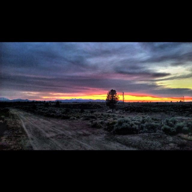 SUNSET OVER LANDSCAPE