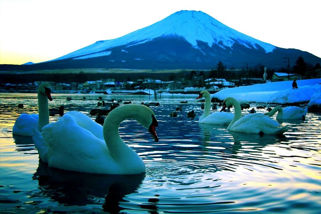 SCENIC VIEW OF LAKE WITH MOUNTAINS IN BACKGROUND