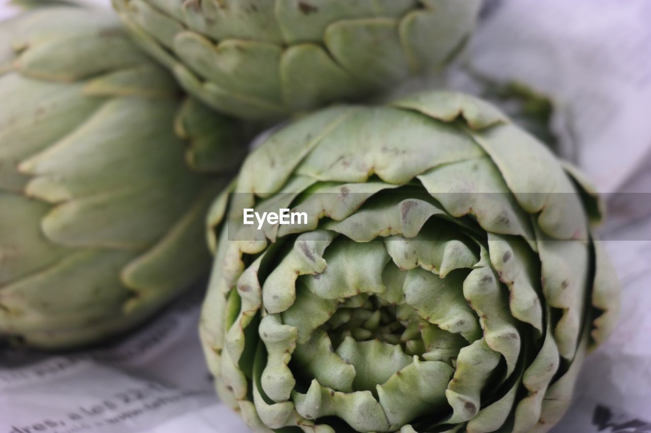 Close-up of artichokes