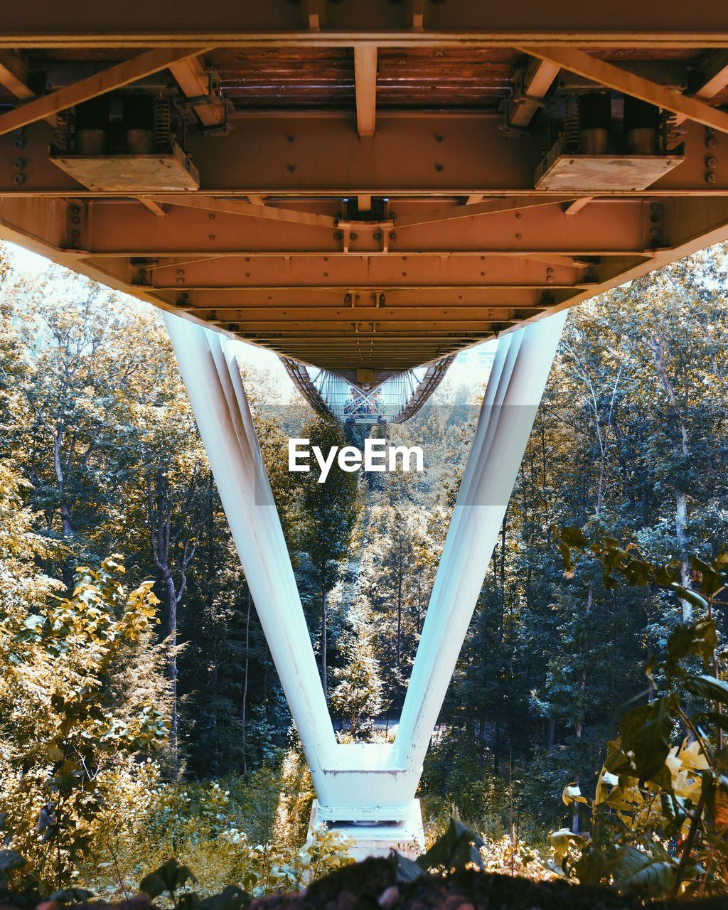 LOW ANGLE VIEW OF BUILT STRUCTURE AND TREES