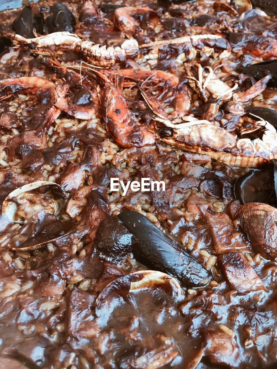 FULL FRAME SHOT OF CRAB