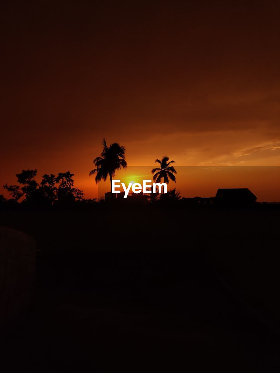 Silhouette palm trees against sky during sunset