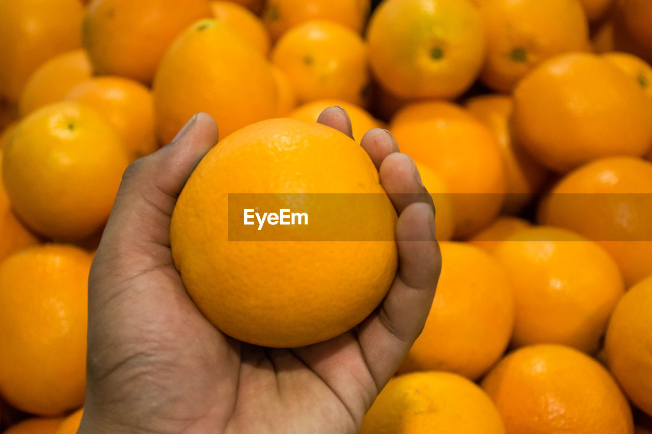 CLOSE-UP OF ORANGES