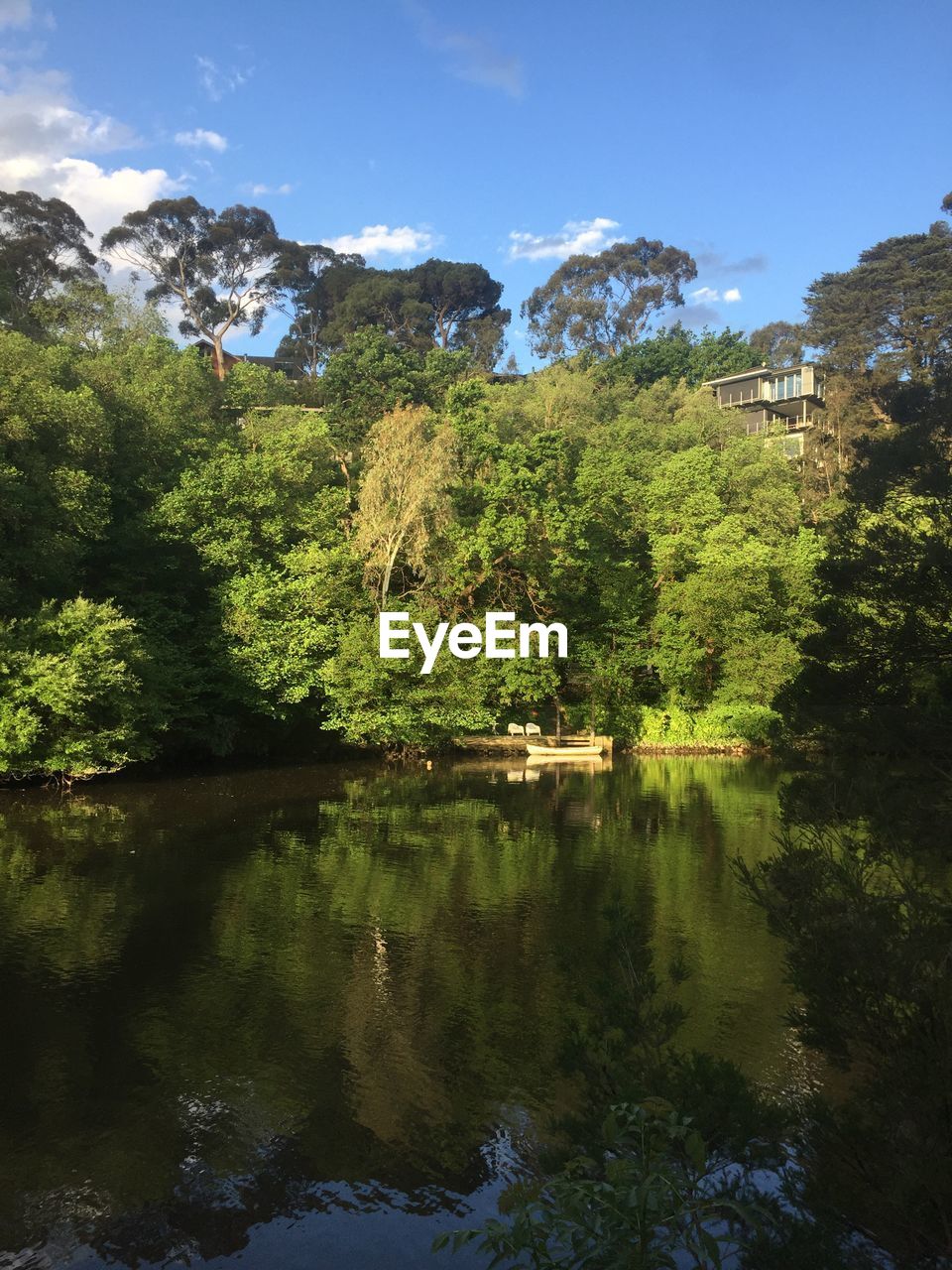 Scenic view of lake by trees against sky