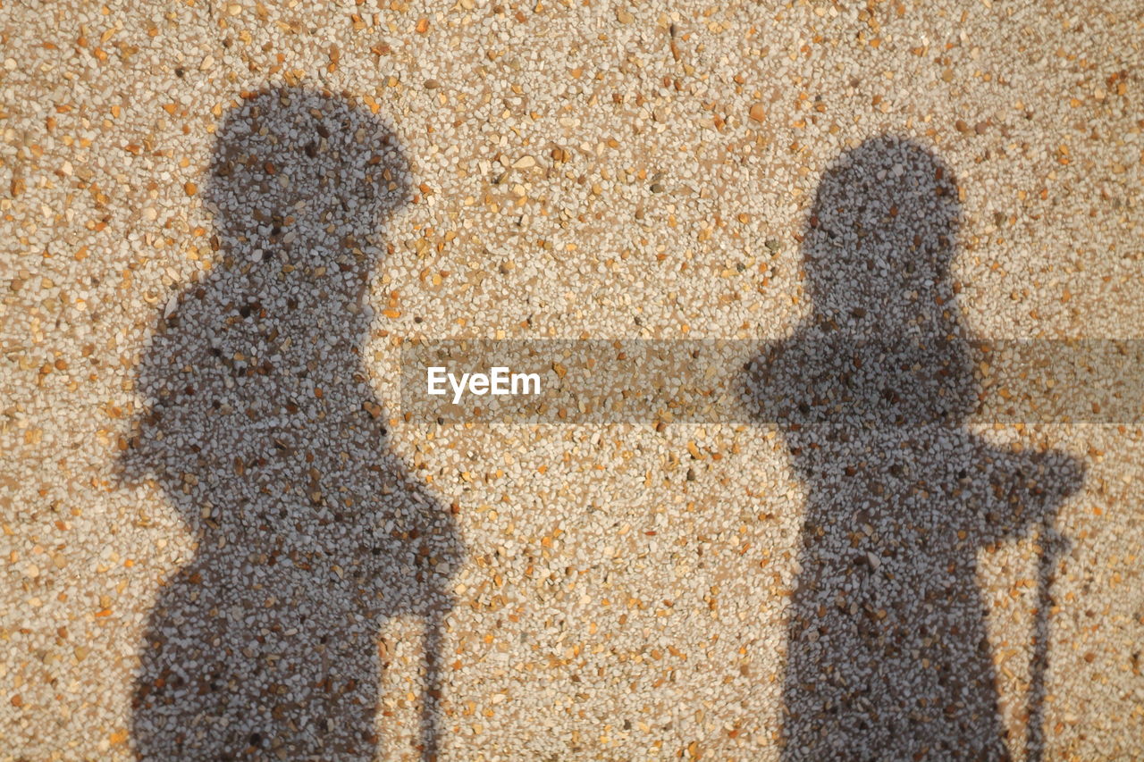 HIGH ANGLE VIEW OF PEOPLE SHADOW ON ROAD