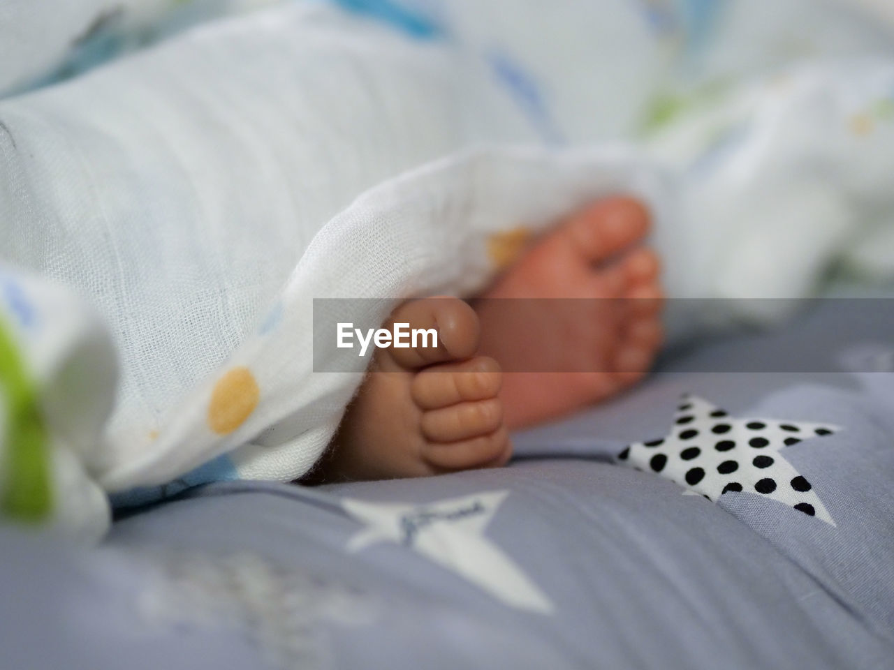 Close-up of baby foot  