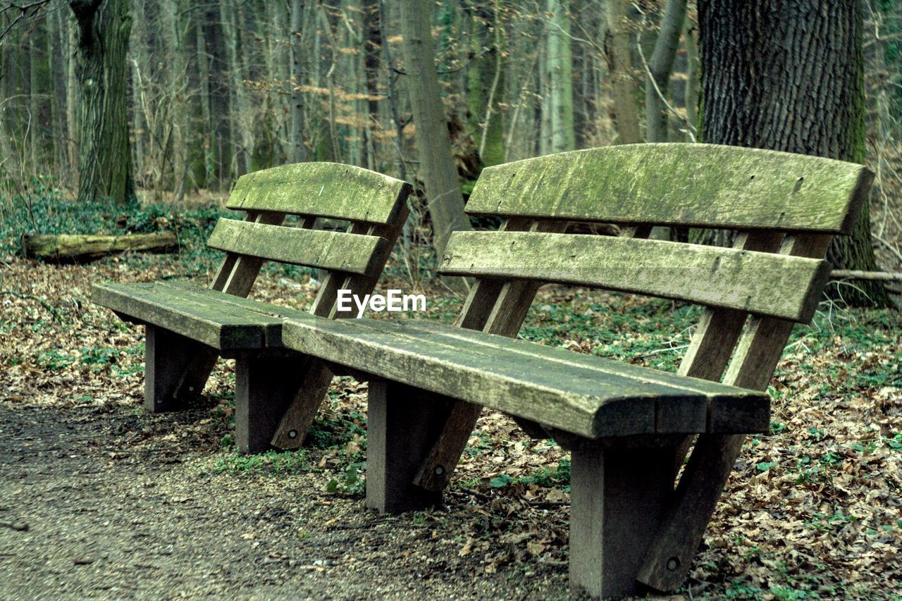 empty bench in forest