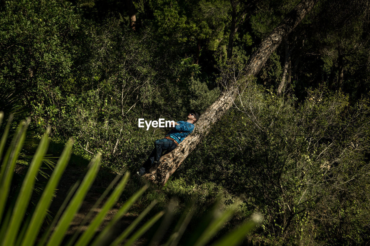 Full length of man leaning on tree trunk