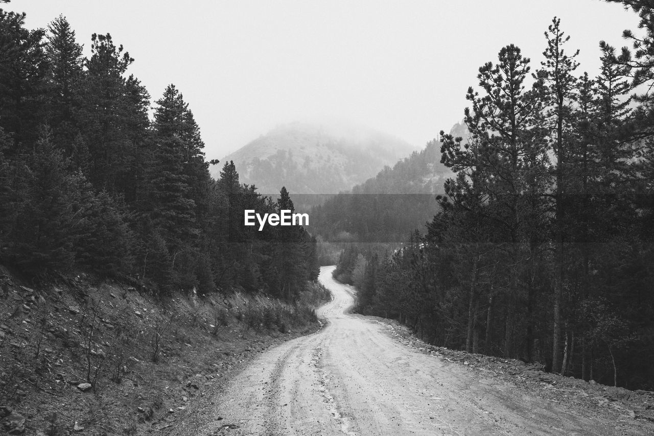 Road amidst trees in forest against clear sky