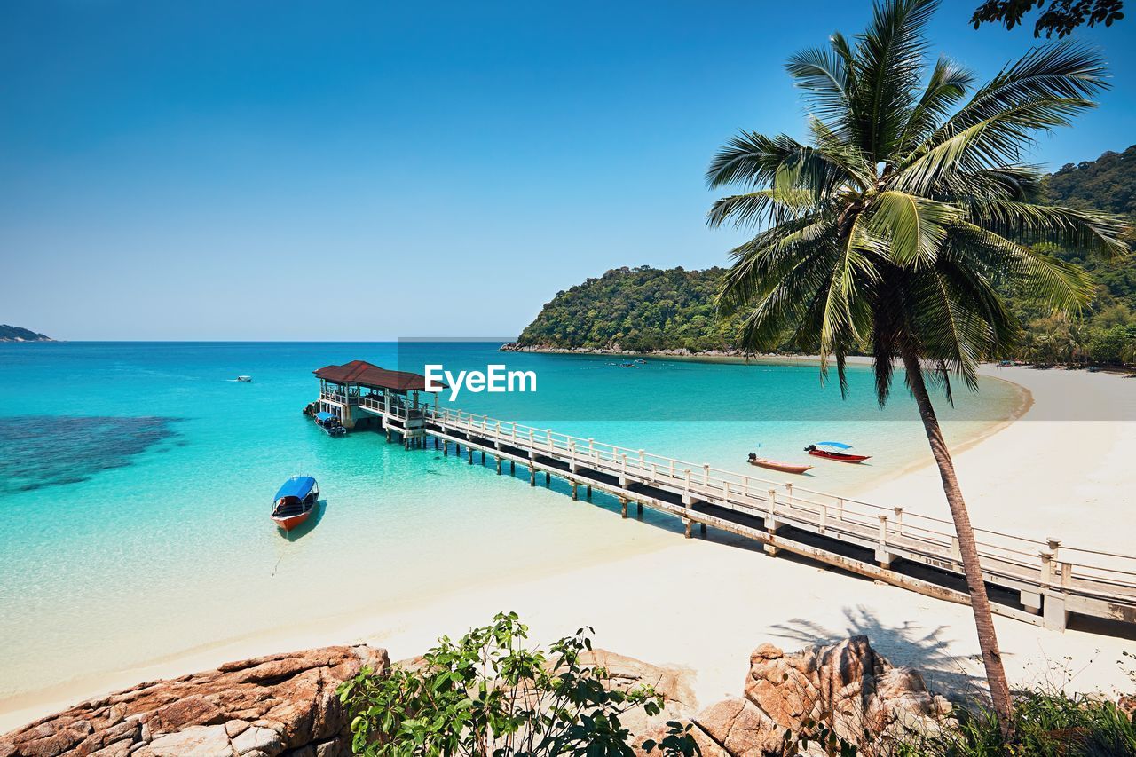 SCENIC VIEW OF BEACH AGAINST CLEAR SKY