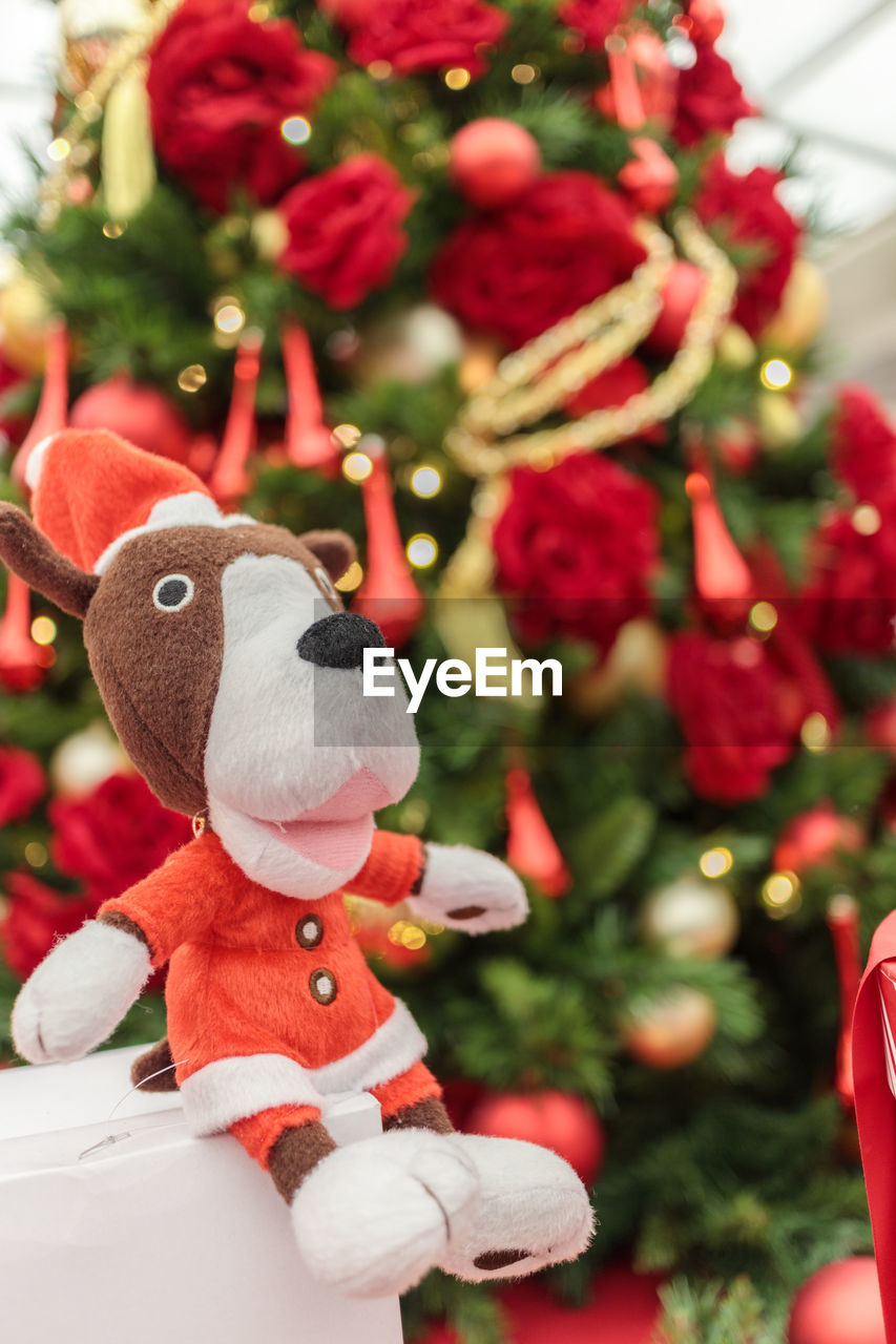 Close-up of stuffed toy against christmas tree