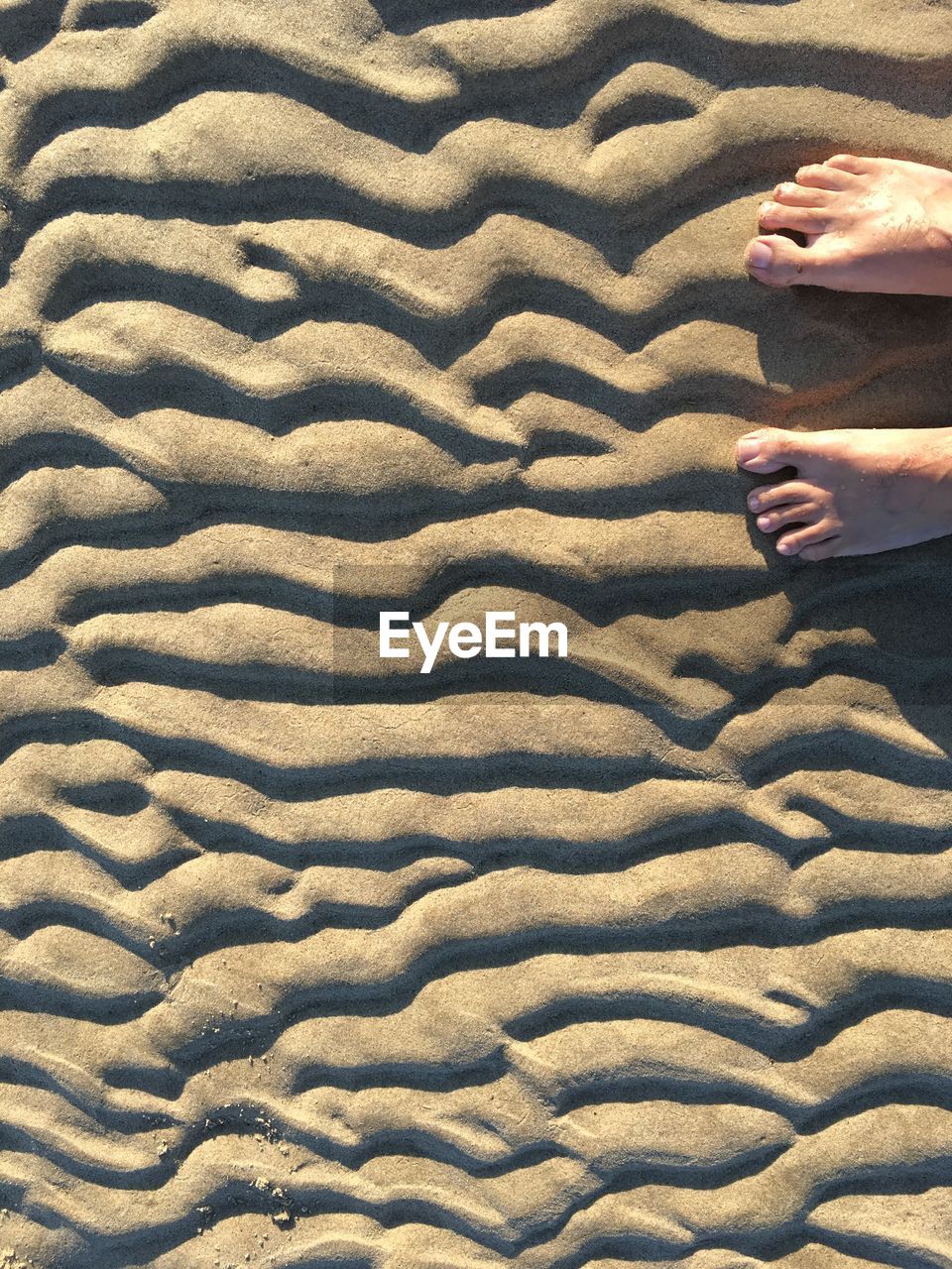 Low section of woman on sand at beach