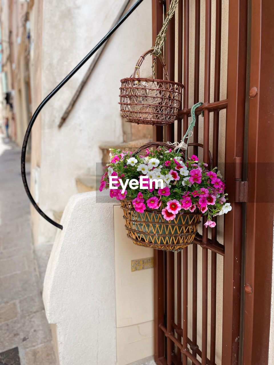 flower, flowering plant, plant, architecture, building exterior, nature, no people, spring, iron, day, pink, built structure, potted plant, outdoors, flowerpot, basket, beauty in nature, balcony, building, freshness, window, wood, decoration, container, growth, furniture