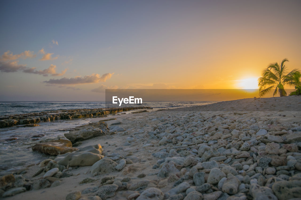 Scenic view of beach during sunset