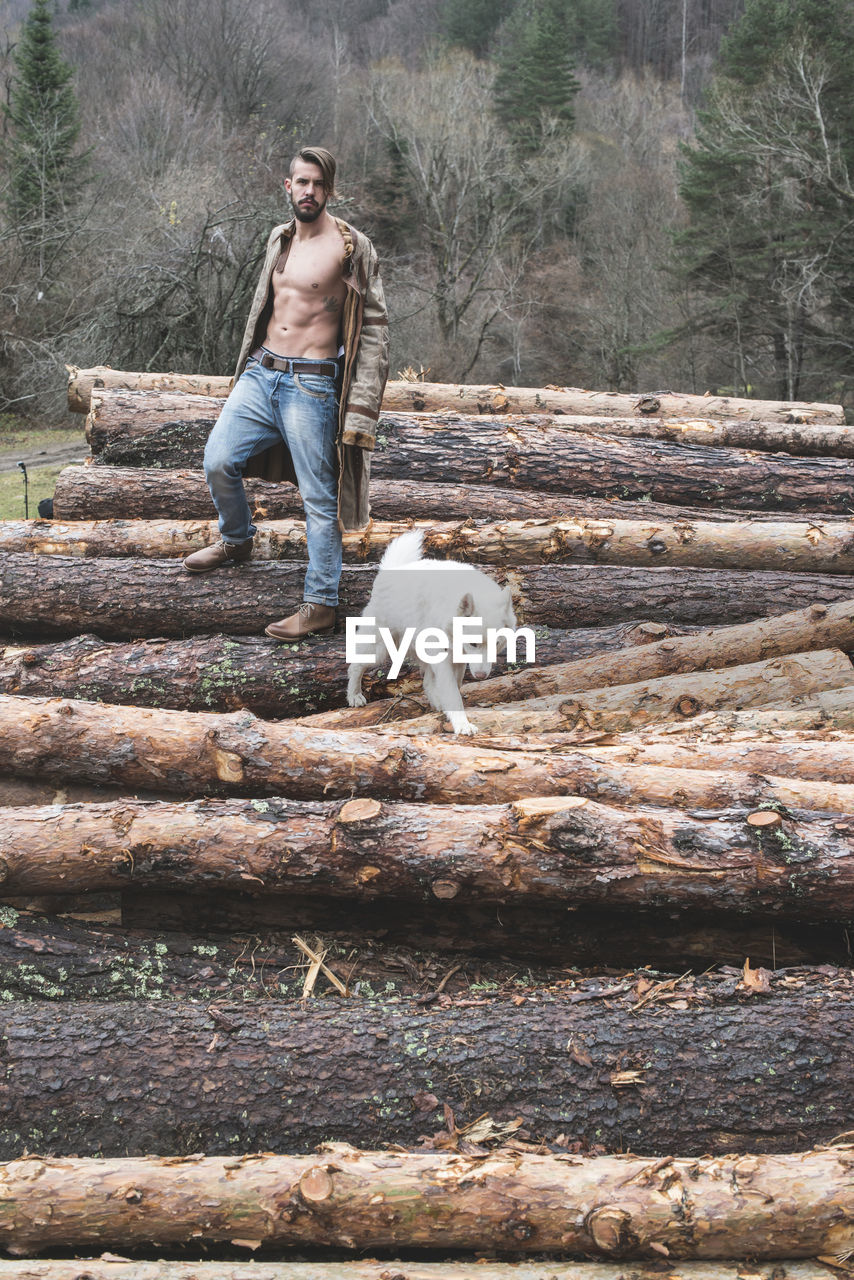 Portrait of young man standing with dog on logs of wood in forest 