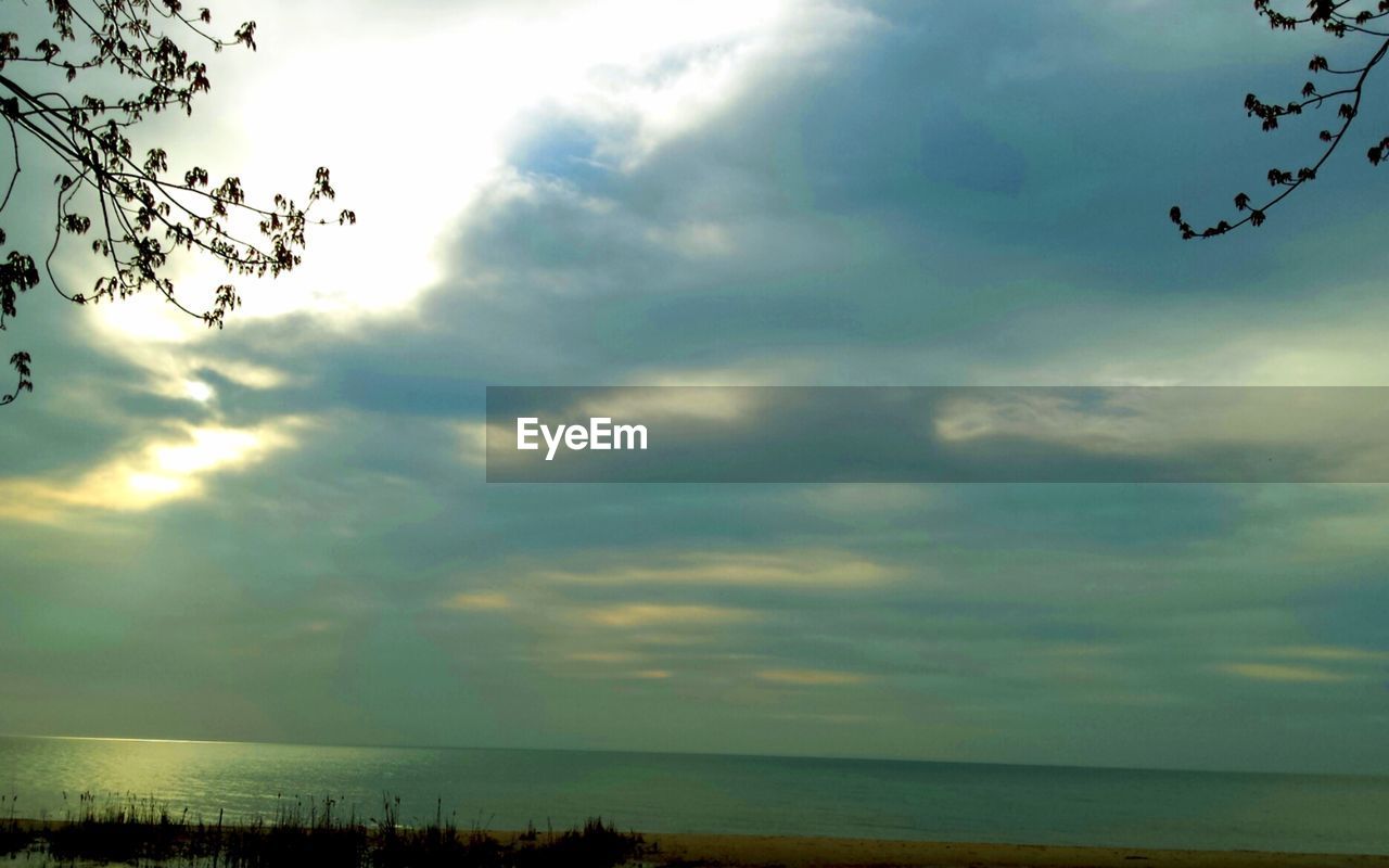 sky, cloud, water, beauty in nature, nature, sea, scenics - nature, morning, horizon over water, tranquility, horizon, tranquil scene, sunlight, plant, beach, tree, bird, dusk, land, no people, outdoors, idyllic, animal, animal themes, silhouette, environment, flying, group of animals, dramatic sky, flock of birds, animal wildlife, large group of animals, non-urban scene, day