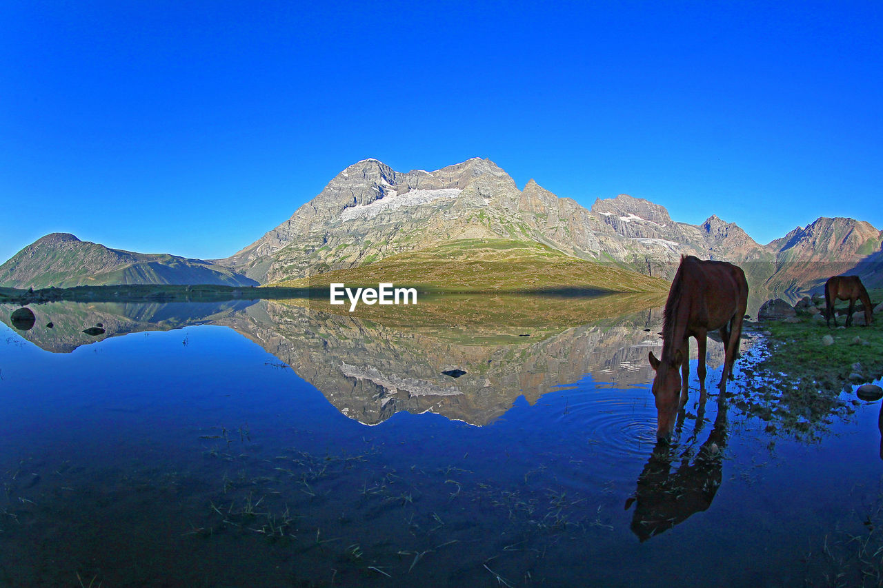 REFLECTION OF MOUNTAIN IN LAKE AGAINST BLUE SKY