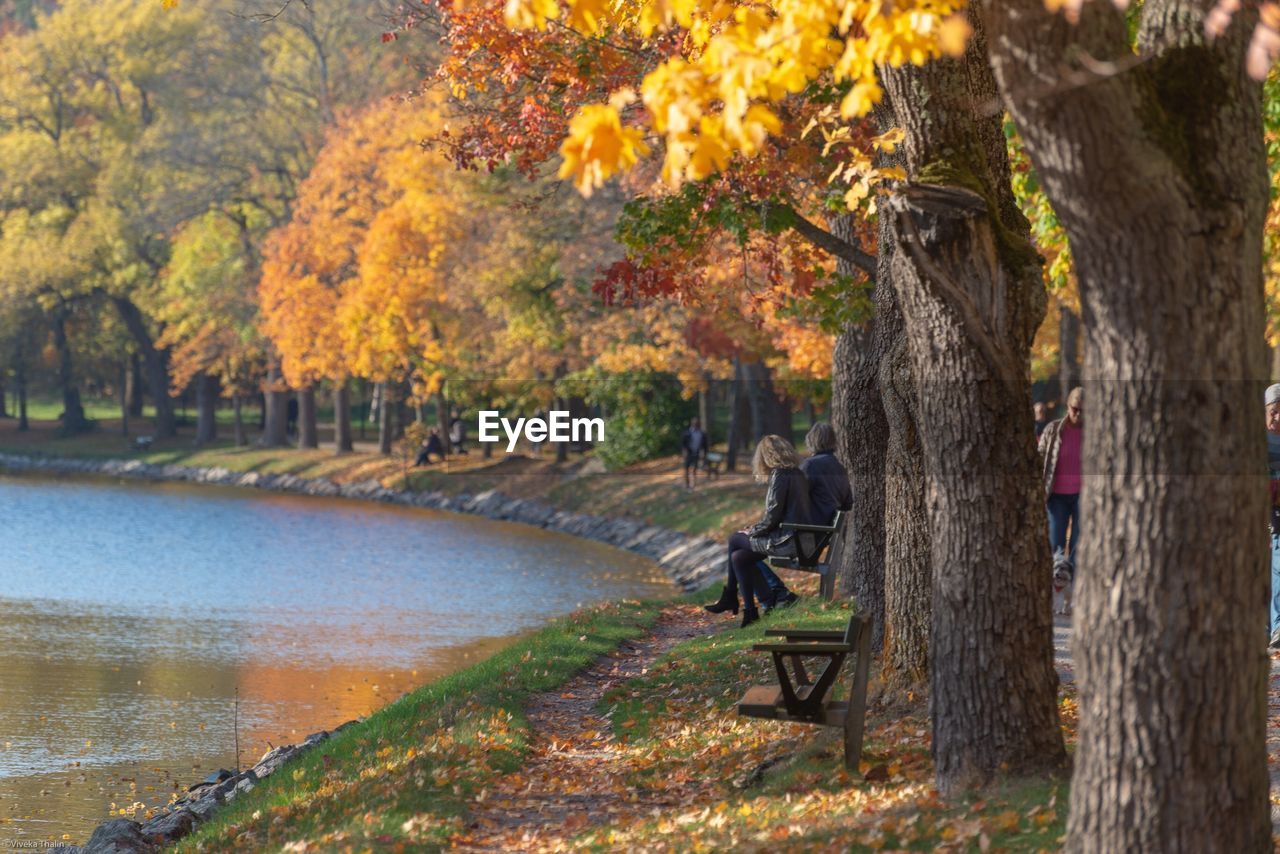 Scenic view of park during autumn