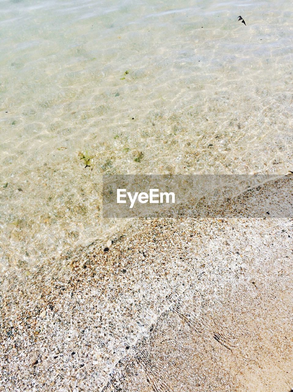 CLOSE-UP OF STARFISH ON BEACH