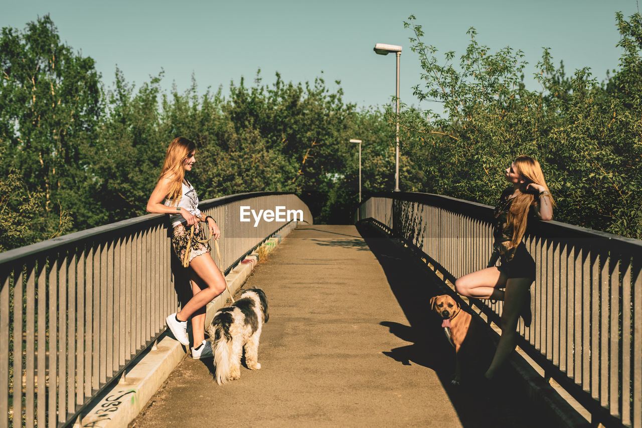 Young women with dogs standing on footbridge against clear sky during sunny day
