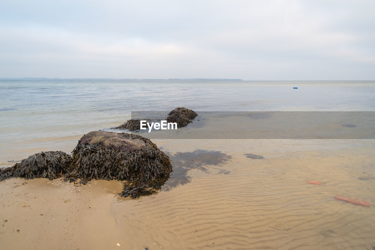 SCENIC VIEW OF SEA SHORE