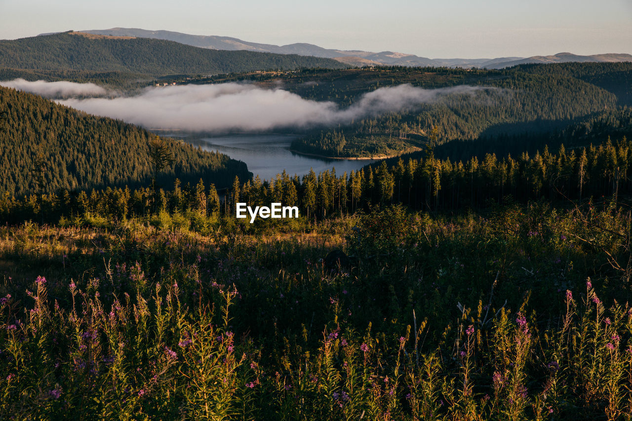 Scenic view of lake and mountains against sky