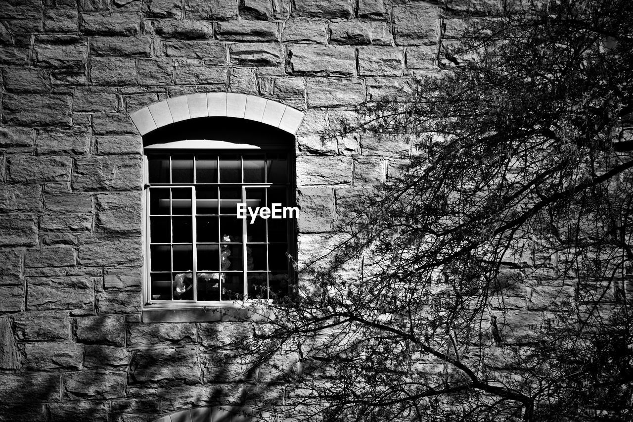 Arch window of house