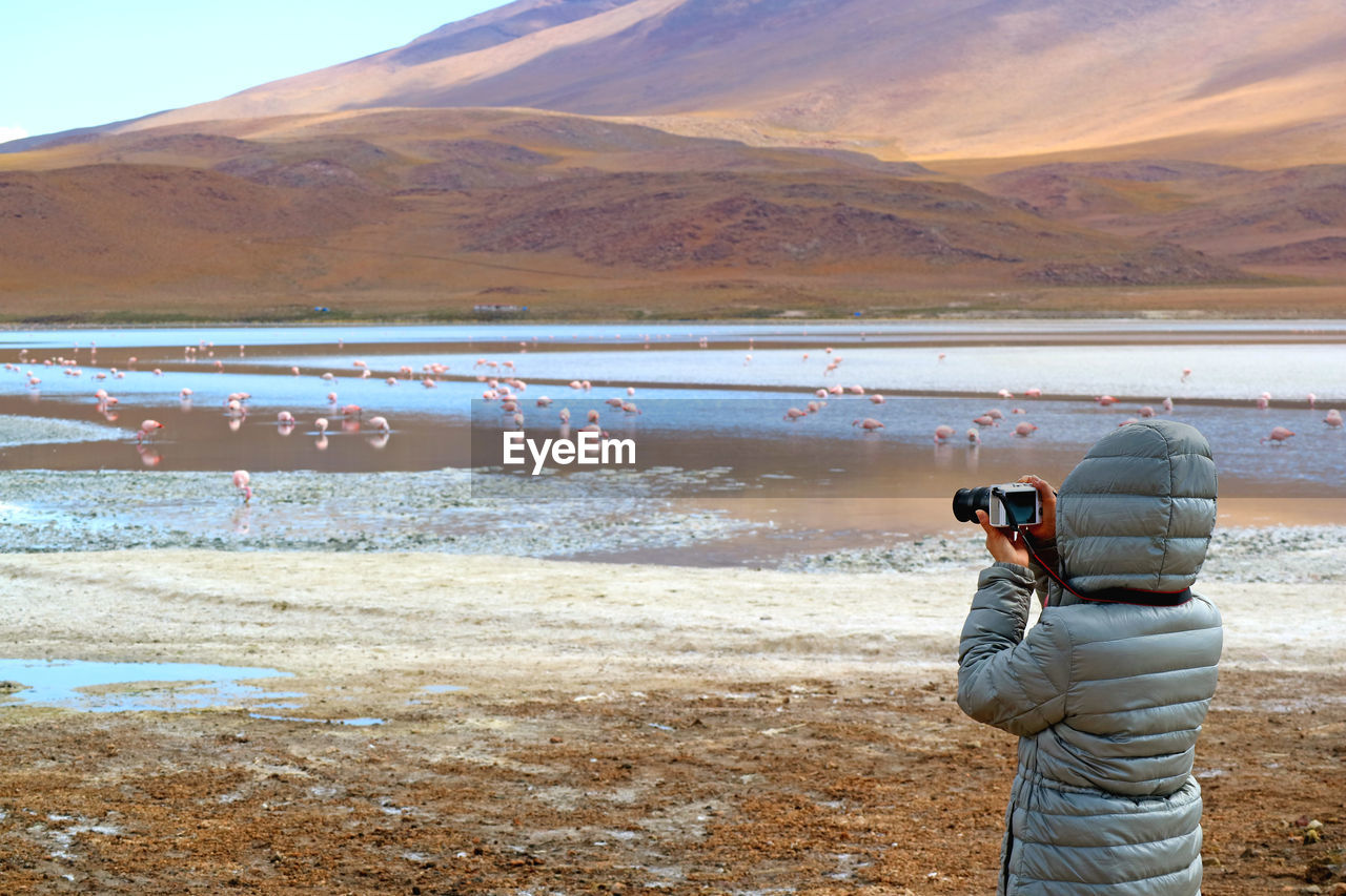 Rear view of woman photographing flamingos with camera against mountain