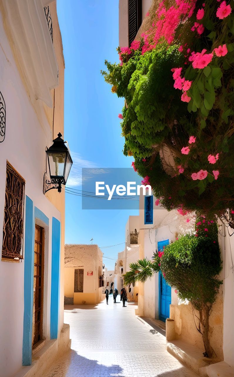 Beautiful tunisia, traditional building style 