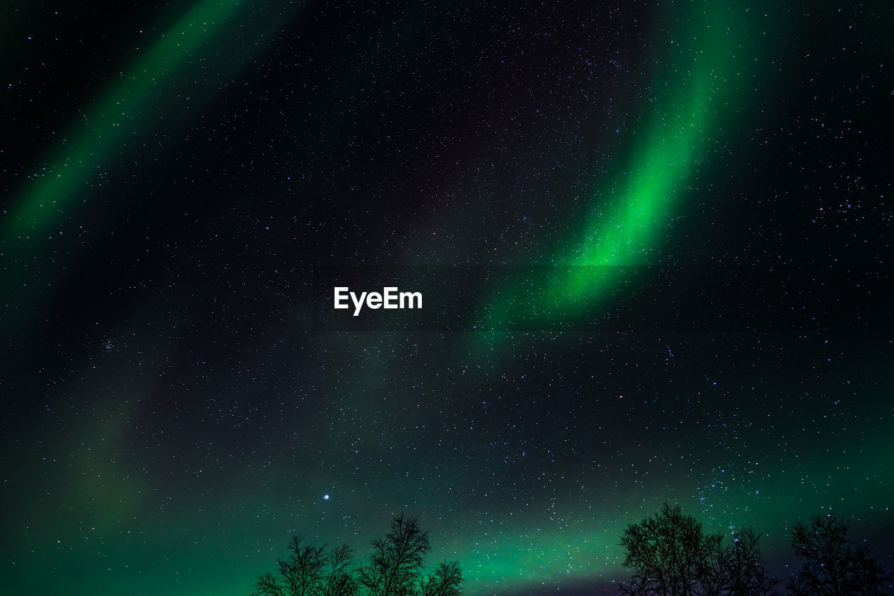 Low angle view of star field against sky at night