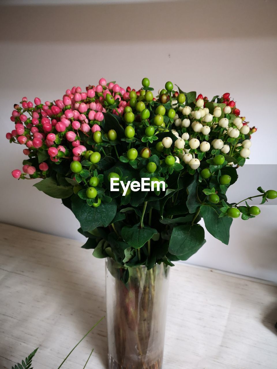 CLOSE-UP OF FLOWERING PLANT IN VASE