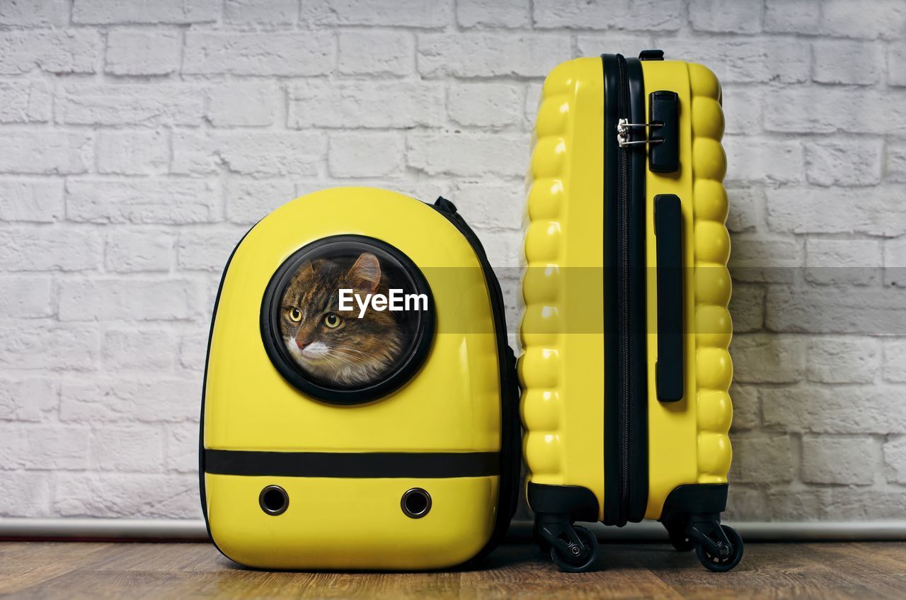 Yellow luggage against wall