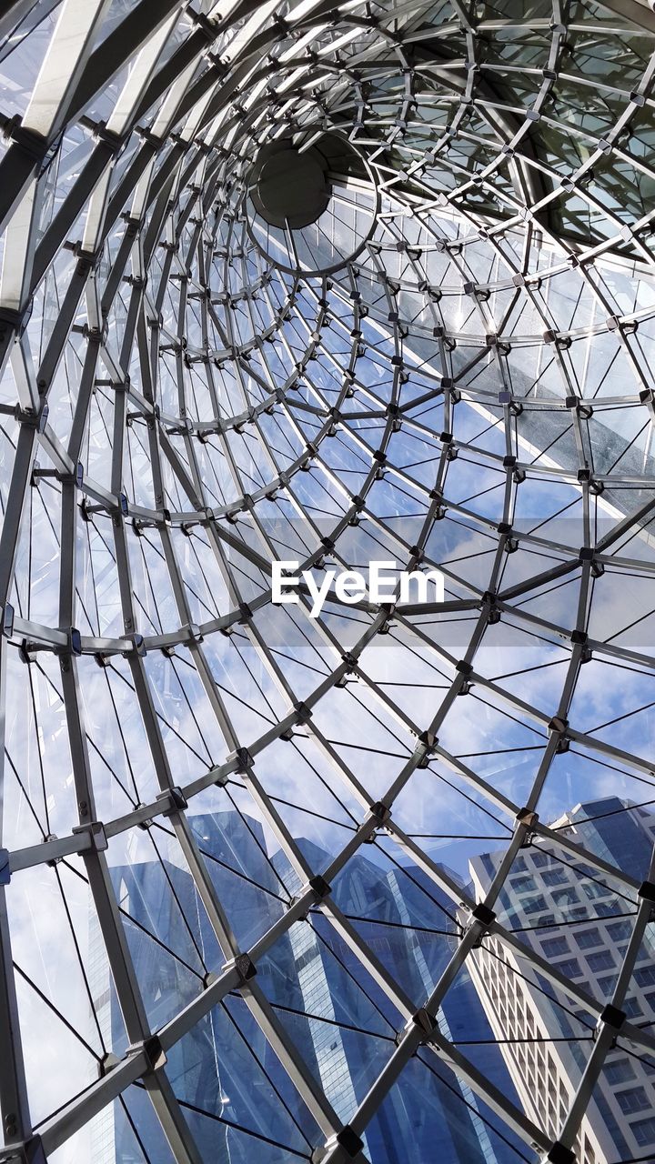 CLOSE-UP LOW ANGLE VIEW OF TALL