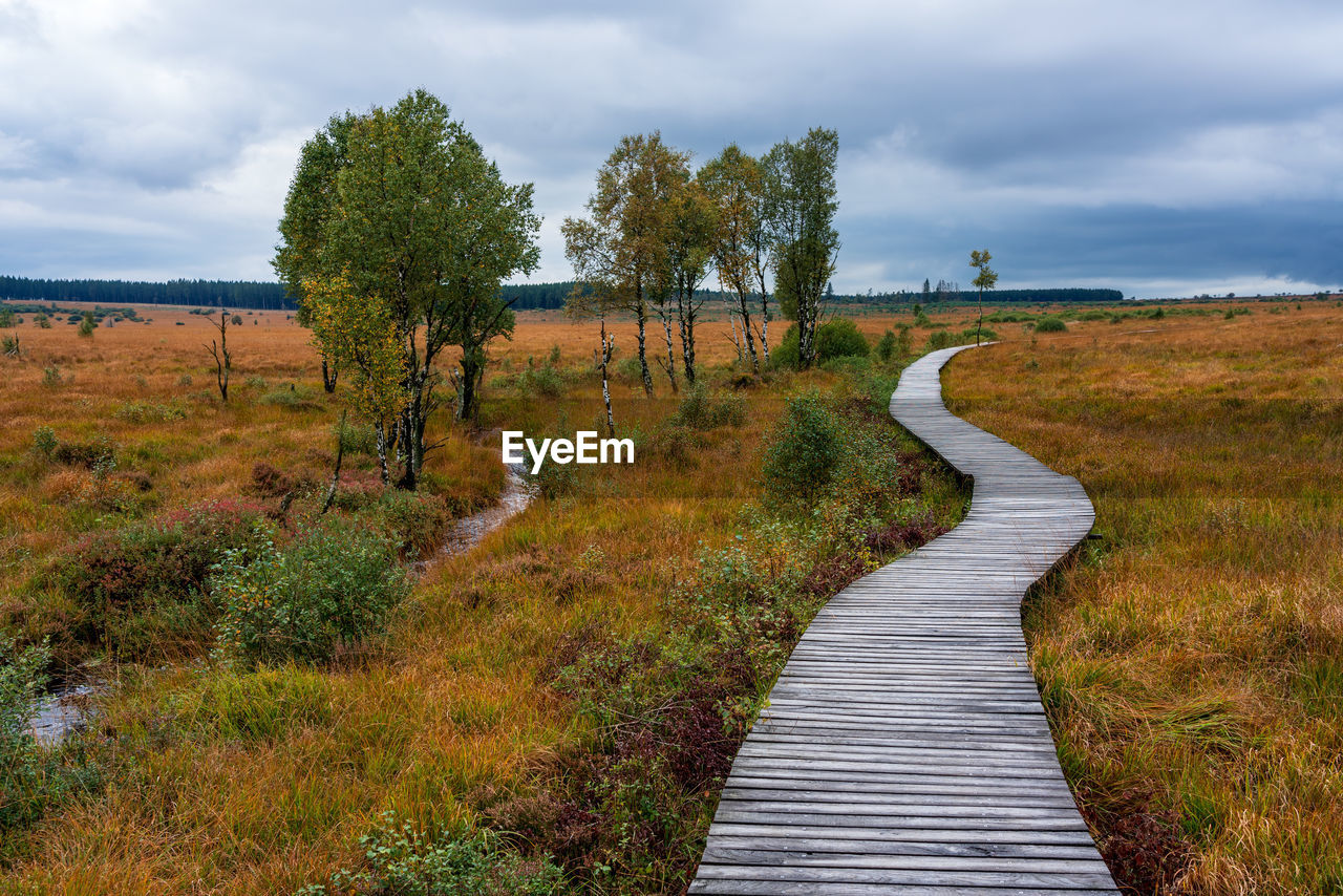 NARROW FOOTPATH ALONG PLANTS ON FIELD