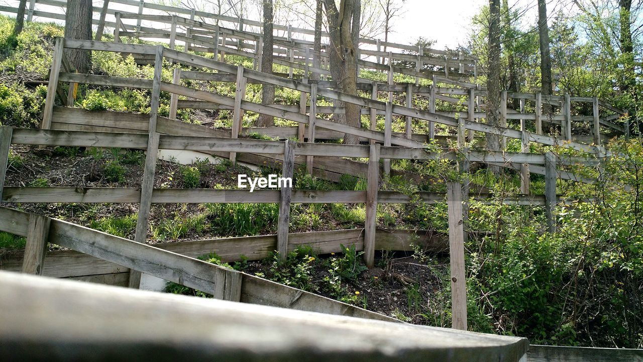 Wooden fence at forest